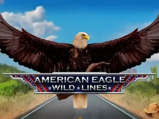 Wild Lines American Eagle
