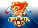 Magnetic Wild