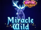 Miracle Wild