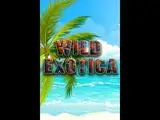 Wild Exotica